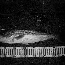 サラシの中でHit!